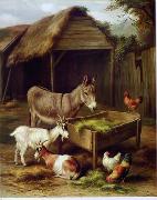 unknow artist Cocks and Sheep 079 china oil painting reproduction